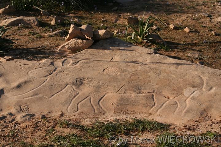 libya_jebel 076